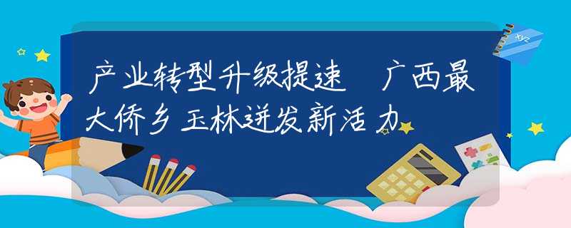 产业转型升级提速 广西最大侨乡玉林迸发新活力