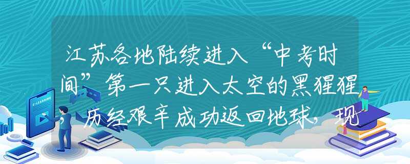 江苏各地陆续进入“中考时间”第一只进入太空的黑猩猩，历经艰辛成功返回地球，现在过得怎么样
