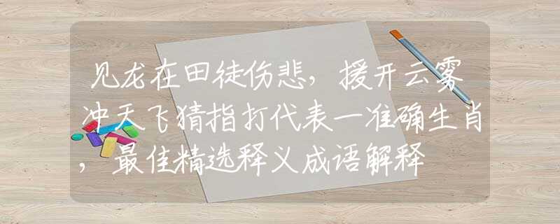 见龙在田徒伤悲，援开云雾冲天飞猜指打代表一准确生肖,最佳精选释义成语解释