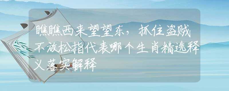 瞧瞧西来望望东，抓住盗贼不放松指代表哪个生肖精选释义落实解释
