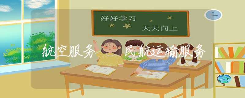 航空服务  民航运输服务