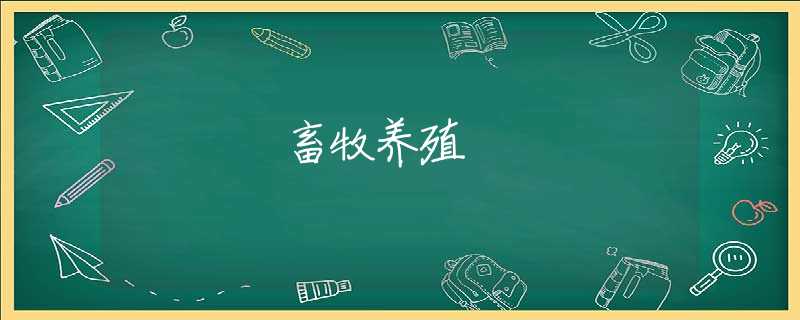 畜牧养殖