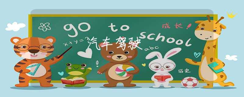 汽车驾驶