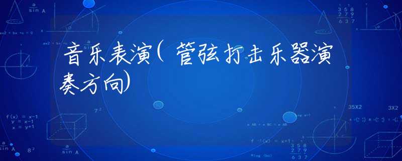 音乐表演(管弦打击乐器演奏方向)
