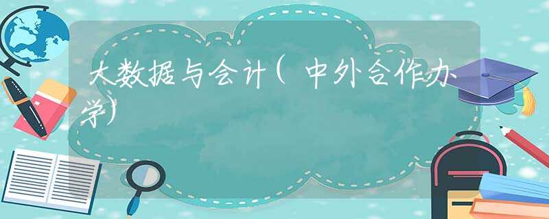 大数据与会计(中外合作办学)