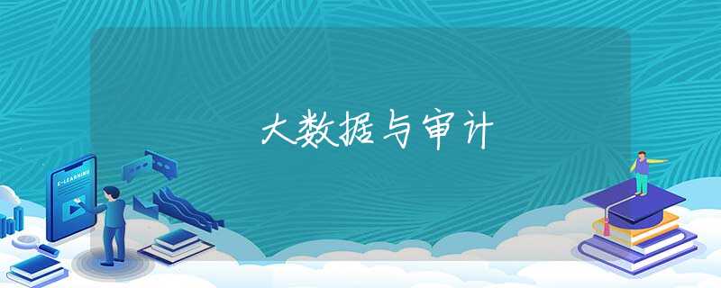 大数据与审计