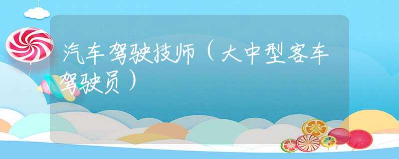 汽车驾驶技师（大中型客车驾驶员）