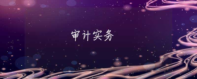 审计实务 审计实务