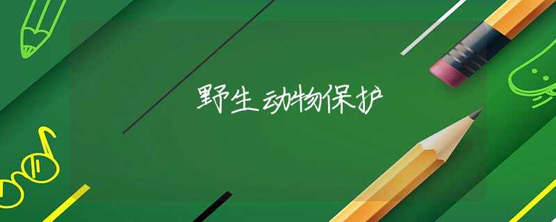 野生动物保护 野生动物保护