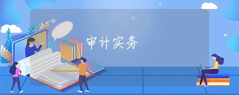审计实务