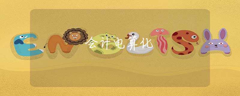 会计电算化 会计电算化