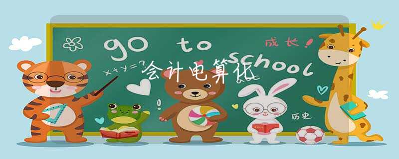 会计电算化 会计电算化
