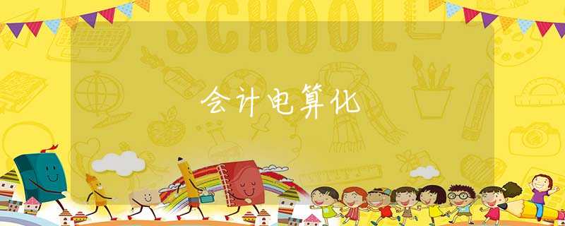 会计电算化 会计电算化